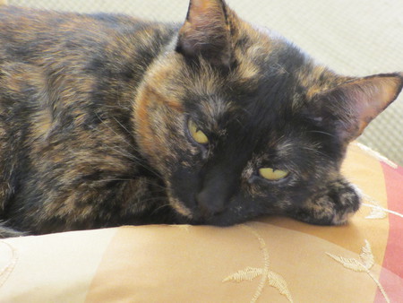 Libby