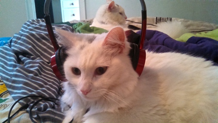 Eowyn (and Tikva)