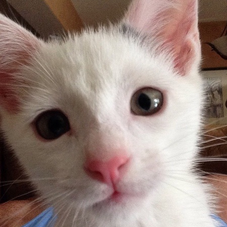 Theo