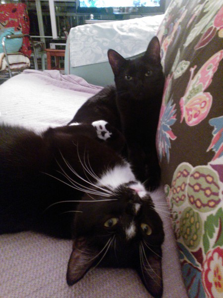 Roger & Miss Pete