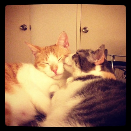 Buster and Cleo