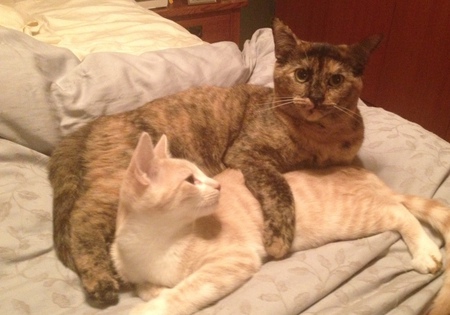 Smudge & Colonel Pickering