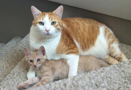 Leon and Poncho