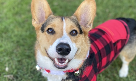 Duke