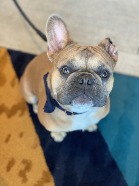 Vinny
