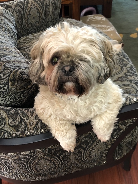 Penny