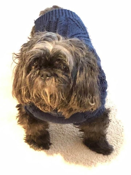 Maggie Mae