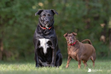 Pepper and JimmyDean