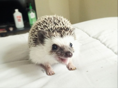 Reggie