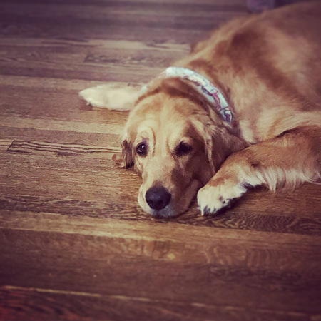 Oakley