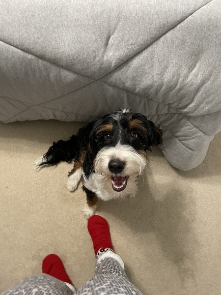 Finn