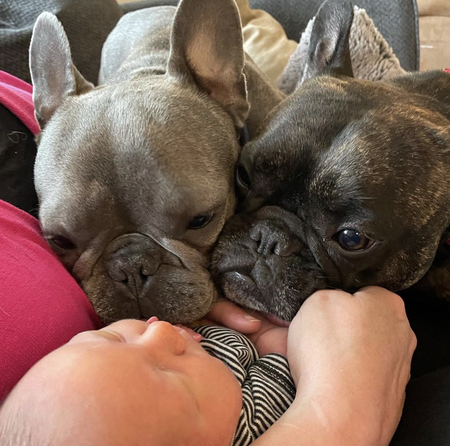 Petey & Pluto