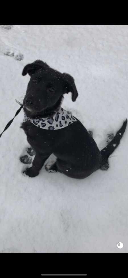 Sophie 