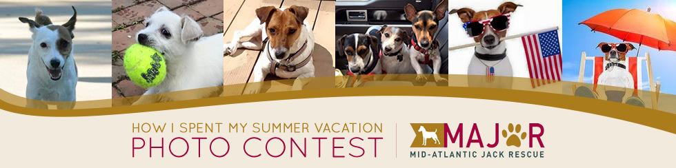 Banner for MAJR's "How I Spent My Summer Vacation" Photo Contest