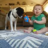 Entry image for Odie