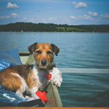 Entry image for Tinsel-Pot