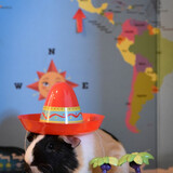 Entry image for Henri