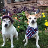 Entry image for Brandi and Milo