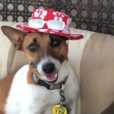 Entry image for Grahm