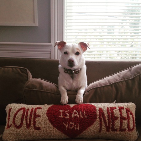 Entry image for Charlie Gamache. Clicking this image will show a larger photo