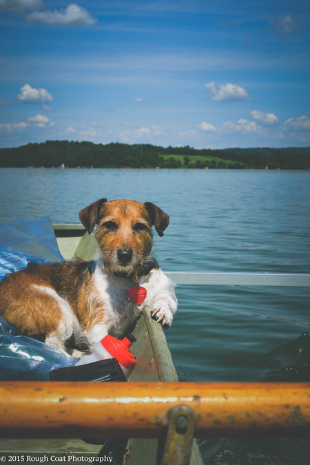 Entry image for Tinsel-Pot. Clicking this image will show a larger photo