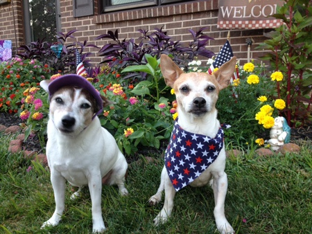 Entry image for Brandi and Milo. Clicking this image will show a larger photo