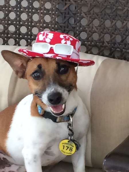 Entry image for Grahm. Clicking this image will show a larger photo