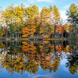 Entry image for Fall Reflections