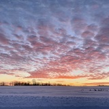 Entry image for Gods Creation