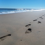 Entry image for Footprints