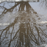 Entry image for Reflection 