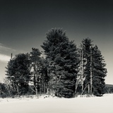 Entry image for Crisp Winter Day 