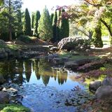 Entry image for Japanese garden Canandaigua NY