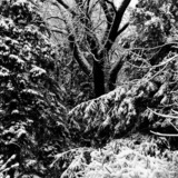 Entry image for Winter enchanted