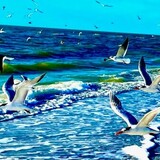 Entry image for birds on Sanibel Island