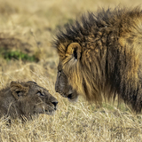 Entry image for Respect