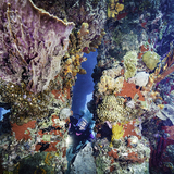 Entry image for Under the Pier