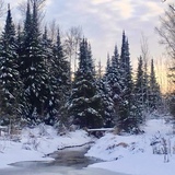 Entry image for Winter Wonderland 