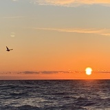 Entry image for Lake Michigan Sunset