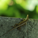 Entry image for Living Life on the Edge