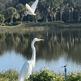 Entry image for Triple beauty