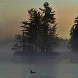 Entry image for Adirondack Dawn Patrol