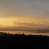 Entry image for Morning Has Broken