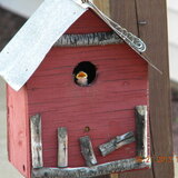 Entry image for hungry baby