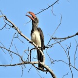 Entry image for Nice catch!