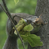 Entry image for Dinner time!