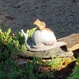 Entry image for Hurry up let's go!