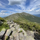 Entry image for Mt Adams and Adams5 - NH Presidential Range