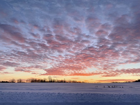 Entry image for Gods Creation. Clicking this image will show a larger photo