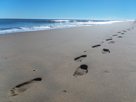 Entry image for Footprints. Clicking this image will show a larger photo